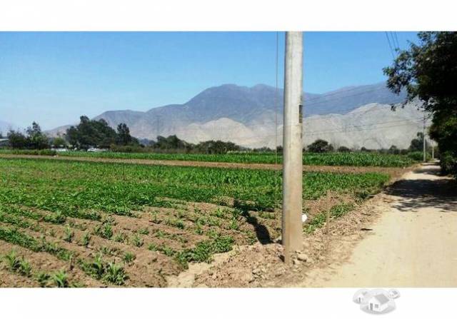 SE VENDE TERRENO EN ZONA URBANA PACHACAMAC (AVENIDA PAUL POBLET)