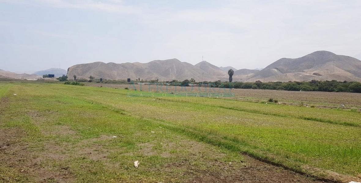 Terrenos Balneario Venta Proyecto San Pedro de Mala - MALA